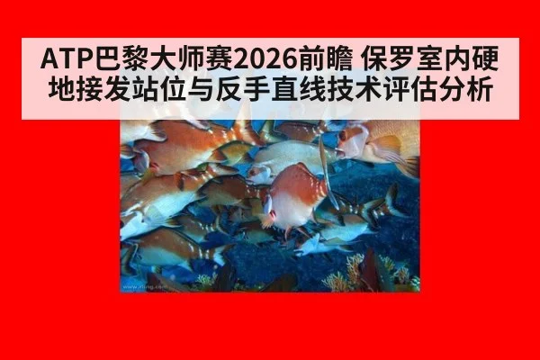 ATP巴黎大师赛2026前瞻 保罗室内硬地接发站位与反手直线技术评估分析